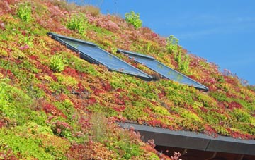 Lawnt living roof systems