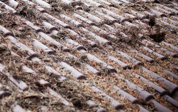 Lawnt roof cleaning companies